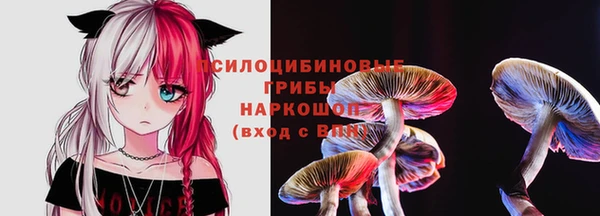jwh Арсеньев