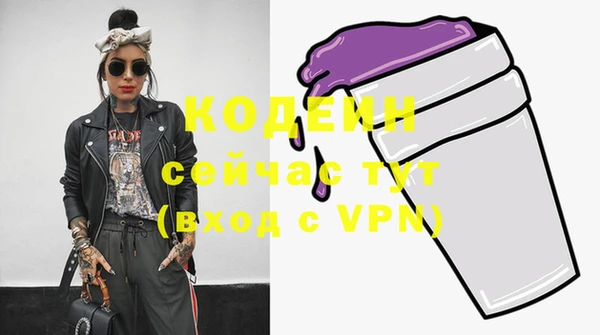 индика Медвежьегорск
