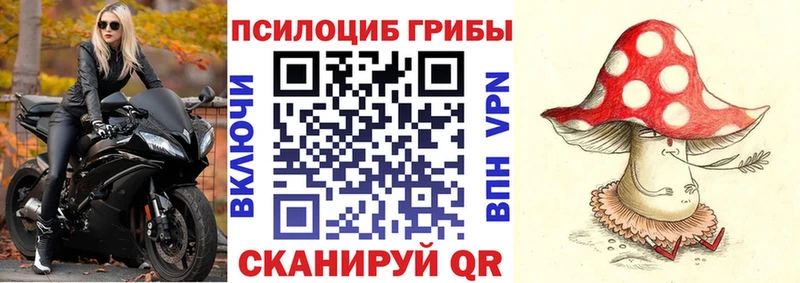 Псилоцибиновые грибы прущие грибы Радужный